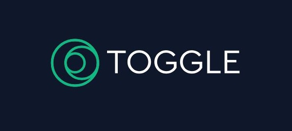 toggle pro depin project
